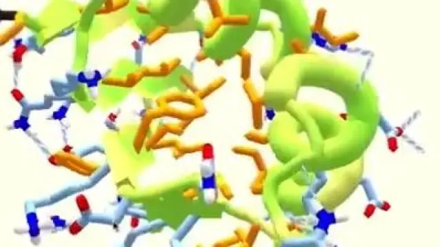 Si te gustan los puzles y los retos, prueba a diseñar proteínas.