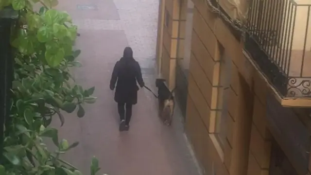 Una voluntaria pasea un perro por la calle San Pablo.