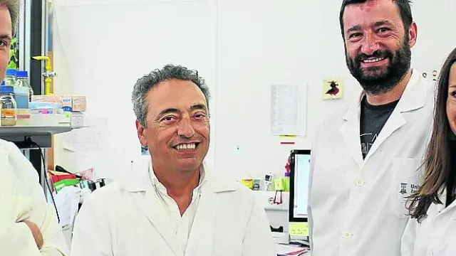 Grupo liderado por Carlos Martín que desarrolla una nueva vacuna contra la tuberculosis.