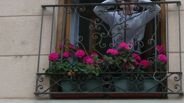 Un niño observando pájaros desde el balcón de su casa.