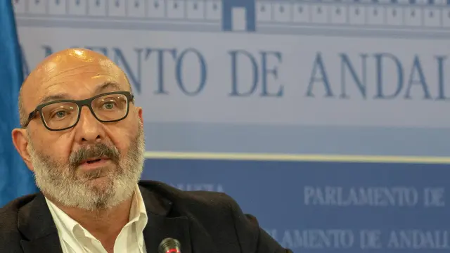 El portavoz de Vox en el Parlamento andaluz, Alejandro Hernández, este jueves.