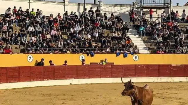 Imagen del festejo taurino celebrado el pasado día 18 en la plaza de toros de Alagón