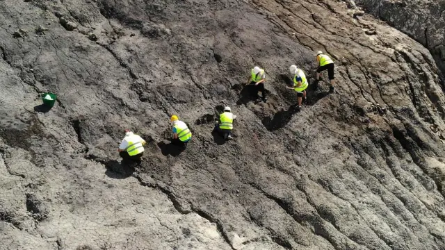 Paleontólogos excavando en busca de ámbar en el yacimiento de Ariño durante el verano de 2019.