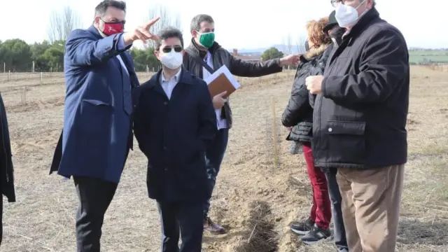 El alcalde de Huesca, Luis Felipe, ha visitado el Cerro de San Jorge para conocer la repoblación de árboles realizada por la SD Huesca.