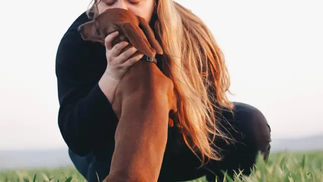 Un estudio desvela que algunos seres humanos muestran más empatía hacia los perros que hacia otras personas.