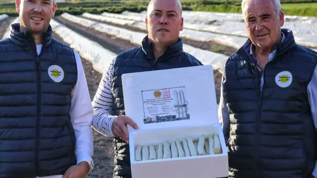 Los hermanos Jorge y Carlos Sofín y su padre Manuel en la finca de Novillas donde cultivan sus populares espárragos.