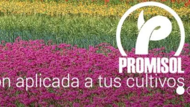 Página web de la empresa Promisol
