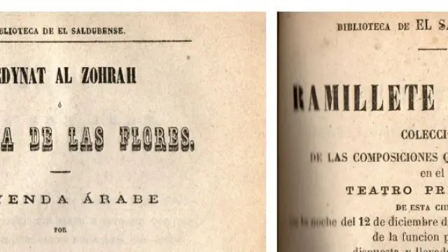 Portadas de publicaciones de la Biblioteca de El Saldubense