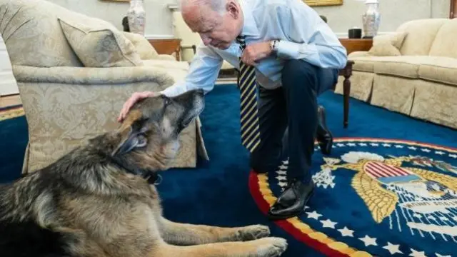 Biden con su perro Champ, en una imagen de archivo.