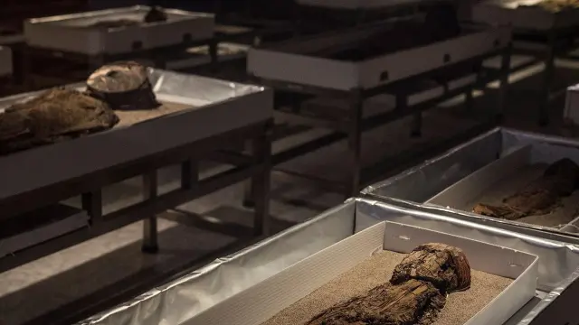 Las momias Chinchorro, tesoro arqueológico de Chile patrimonio de la Humanidad