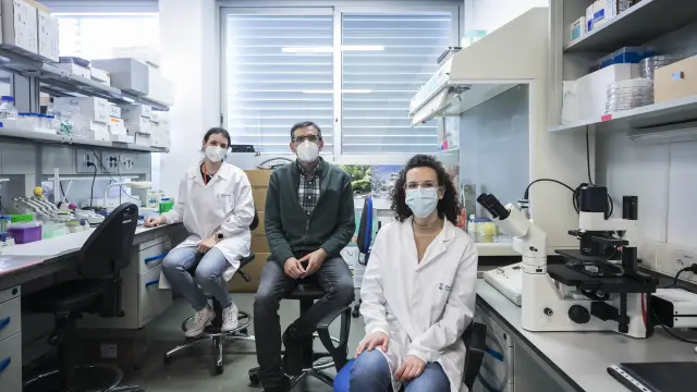 Paula Guerrero, J. Manuel García Aznar y Soraya Hernández, en su laboratorio del I3A.