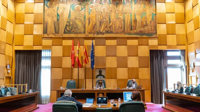 La Consejera de Economía, Innovacion y Empleo del Ayuntamiento de Zaragoza, Carmen Herrarte, comparece online