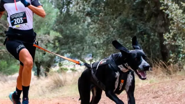 Tamara Vázquez y su perra, Kona, en una competición de canicross. Leire Zearreta