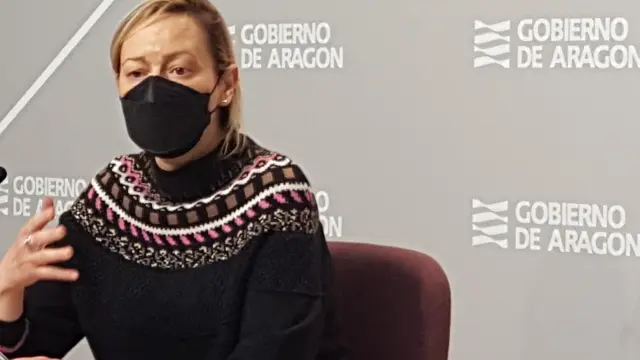 La consejera Marta Gastón explica los datos de la EPA a la prensa.