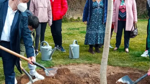 Alumnos del IES Ramón y Cajal de Huesca han plantado el árbol junto al alcalde, Luis Felipe.