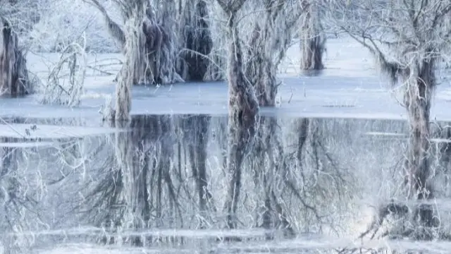 'Lago de hielo', de Cristiano Vendramin, es la imagen ganadora.