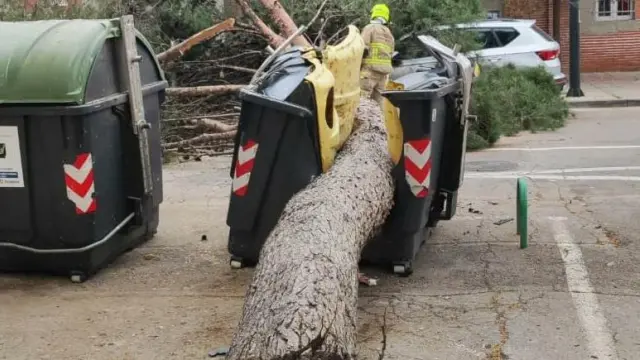 El árbol ha caído sobre un contenedor.