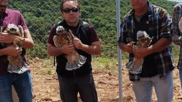 El director general de Medio Natural, Diego Bayona ha sido uno de los encargados de recibir a las águilas