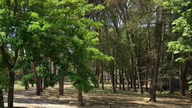 Parque de La Pinada de Fraga.