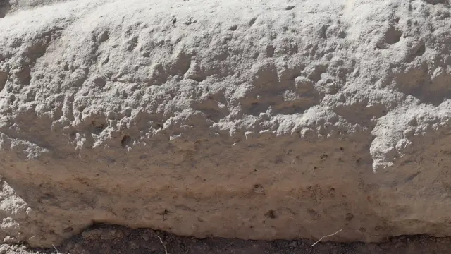 Detalle del relieve fálico hallado en el yacimiento del Higuerón de Nueva Carteya.