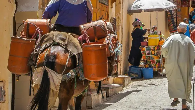 Un hombre circula en camello en Marruecos