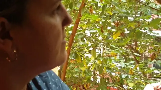 Cristina Cebollada con una de las ramas que puede tocar desde su ventana