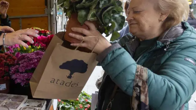 Una mujer compra una planta en una de las casetas del Rastrillo de Atades.