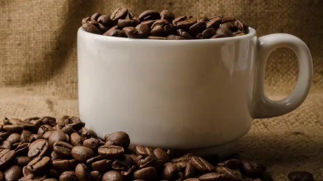 ¿Podría un coche funcionar con lo mismo que mueve a su conductor por la mañana: una buena taza de café?