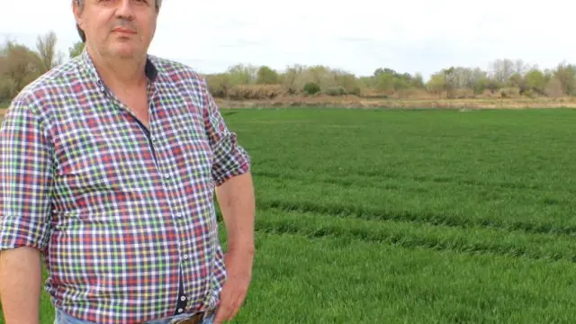 Ángel Cacho, agricultor de Grañén, junto a su explotación de regadío.