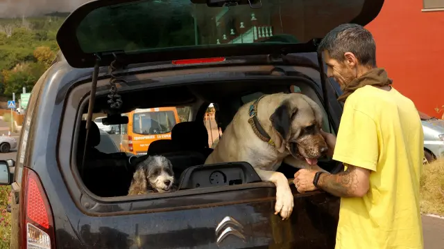 Eduardo Khoury, con sus perros Calima y Plutón, tras ser evacuado de su casa en la Esperanza por el incendio.