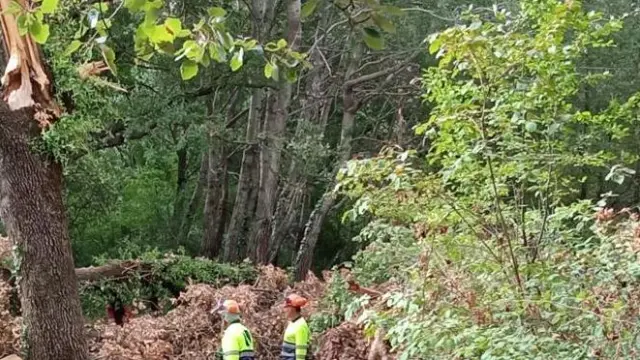Labores de retirada de árboles y ramas dañadas por una tormenta en la Fuentes de Marcelo de Huesca.