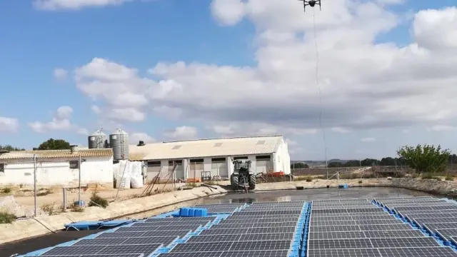 Parque fotovoltaico sobre una balsa de purines en una granja de Tauste.