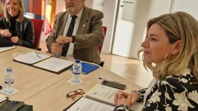 Claudia Pérez Forniés y José Antonio Mayoral han presidido la primera comisión mixta tras el cambio de Gobierno.