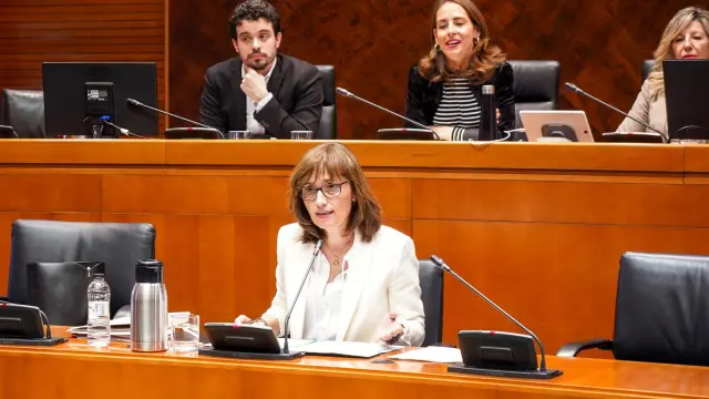 La directora del Instituto Aragonés de la Mujer (IAM), María Antoñanzas, en su comparecencia parlamentaria de este martes para dar cuenta de sus líneas de gestión.