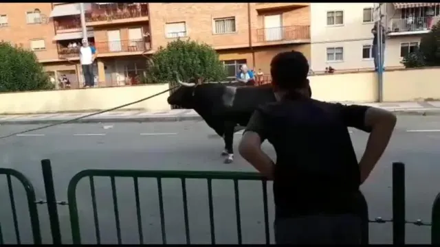 Dos heridos en Alcorisa por un toro ensogado