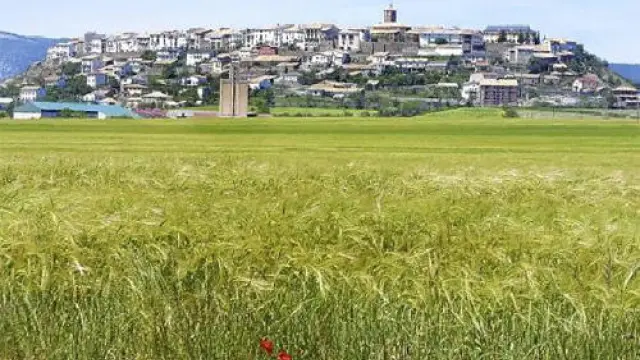 Imagen de archivo de los terrenos que rodean el casco urbano de Berdún