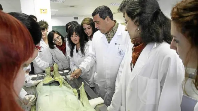 Un grupo de estudiantes y su profesor, ayer, durante una clase de Anatomía con un cadáver.