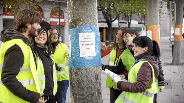 Una veintena de miembros de la asociación Ilógica estuvieron ocho horas decorando los árboles.
