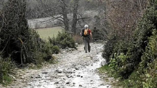 Estampa invernal de un peregrino por el tramo aragonés del Camino de Santiago