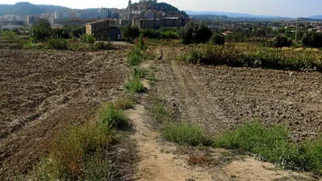 Imagen de los terrenos en los que se construirá el nuevo hospital de Alcañiz.