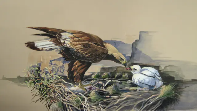 Ilustración de un águila real alimentando a su cría