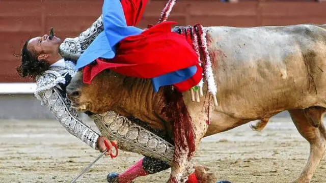 Julio Aparicio, en plena embestida del toro cuya cornada le atravesó el cuello ayer en Madrid.