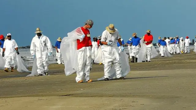Un grupo de trabajadores contratados para limpiar las playas de Luisiana rastrean la arena en busca de restos de crudo.