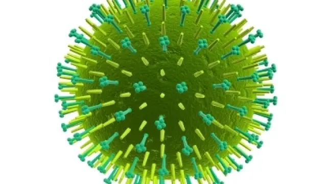 El virus de la gripe A