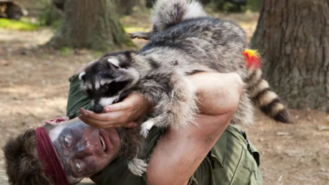 Brendan Fraser y un mapache