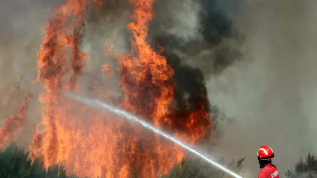 Un bombero lucha contra el fuego en un bosque del país vecino