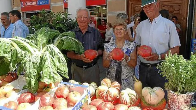 Tomates y acelgas de gran tamaño en uno de los puestos participantes.