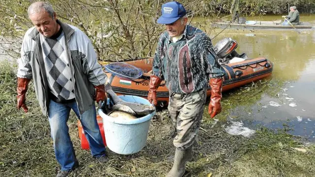 Dos pescadores sacan peces muertos por la contaminación del barro rojo en el río Marcal, ayer en Gyoer-Gyirmot (Hungría).