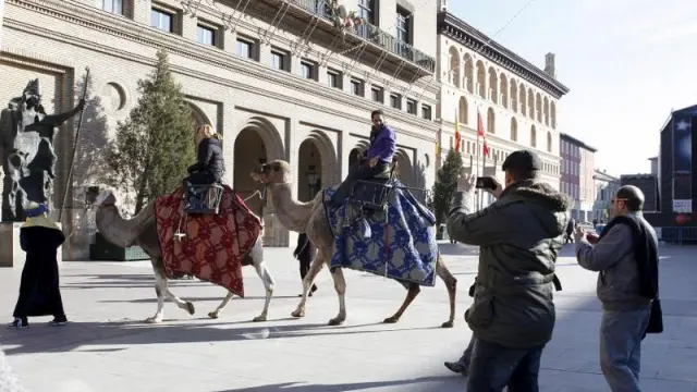 Los dromedarios componen una estampa sorprendente en la plaza del Pilar.