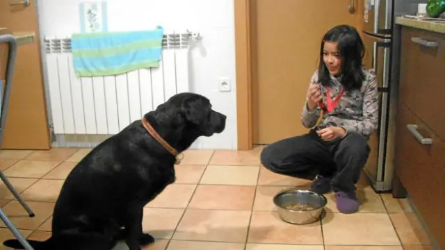 La perra espera sentada a que Irene le indique, con un silbato, que puede empezar a comer.